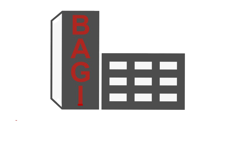 HMS LOgo weiss transparent